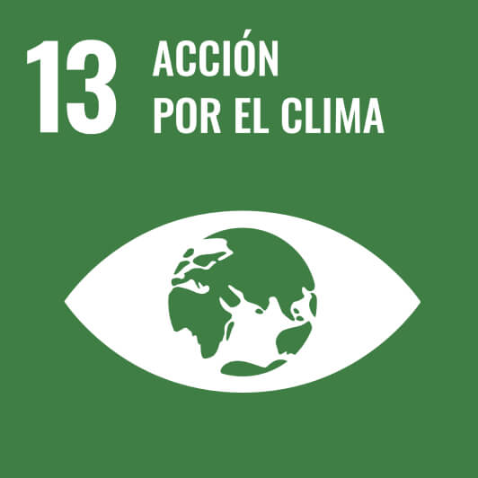 13-accion-por-el-clima-min